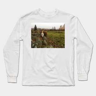 Scottish Highland Cattle Calves and Cat 1837 Long Sleeve T-Shirt